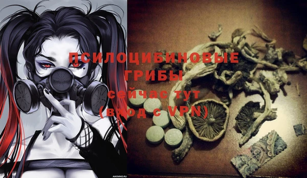 шишки Верхний Тагил