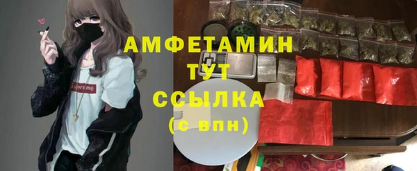 индика Верея