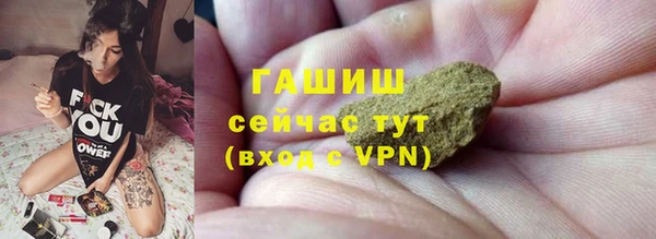 шишки Верхний Тагил