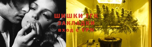 индика Верея