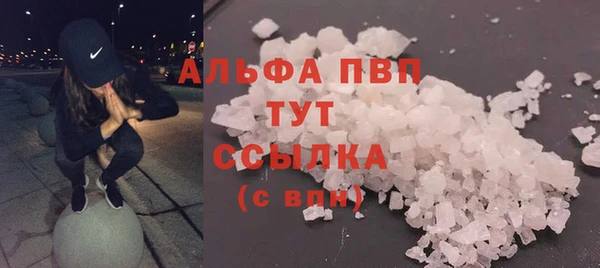 шишки Верхний Тагил