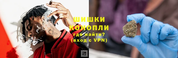 индика Верея