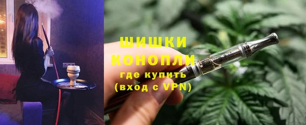 индика Верея