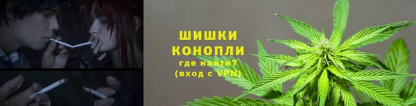 шишки Верхний Тагил