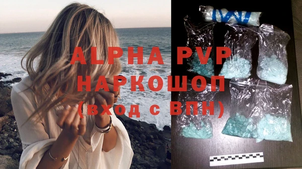 индика Верея