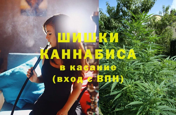 шишки Верхний Тагил