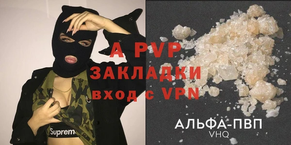 индика Верея