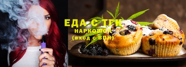 шишки Верхний Тагил