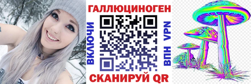 Псилоцибиновые грибы GOLDEN TEACHER  цены наркотик  Кировград 